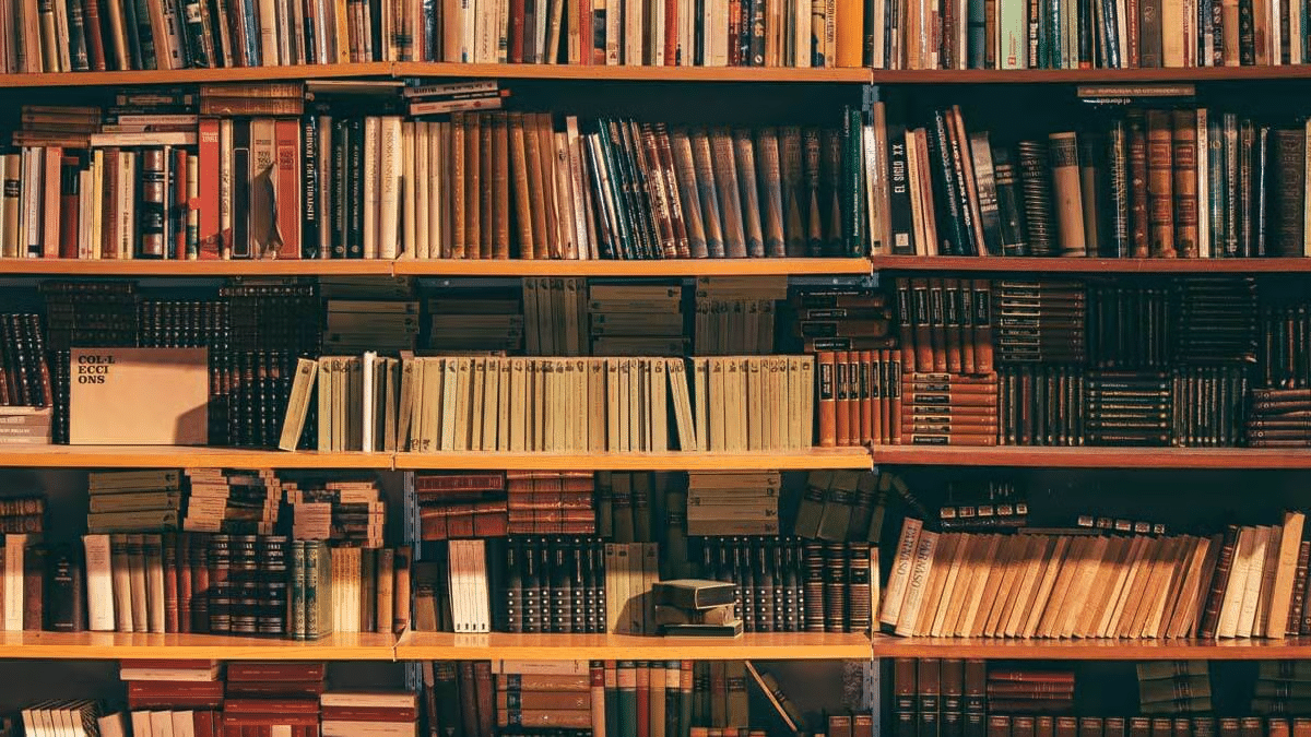 Full bookshelves filled with assorted hardcover and paperback books in a cozy wood library setting.